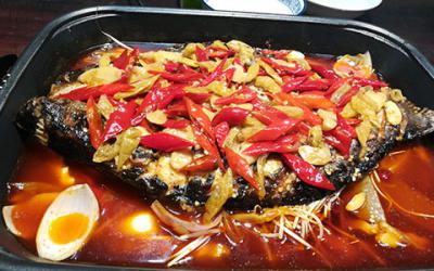  成都學烤魚哪里最正宗？