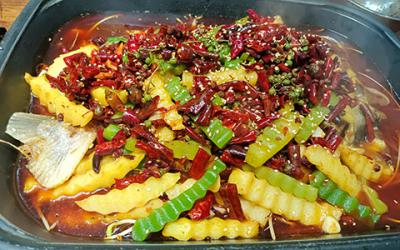 烤魚培訓(xùn)學(xué)費多少錢？